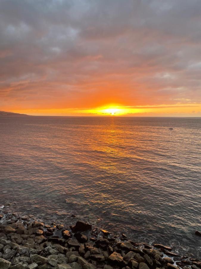 Magnificent Studio With A Terrace Overlooking The Sea! Daire Puerto de la Cruz  Dış mekan fotoğraf